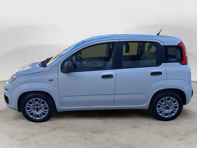 FIAT Panda 1.3 MJT 95 CV FENDINEBBIA/COMANDI AL VOLANTE (041)