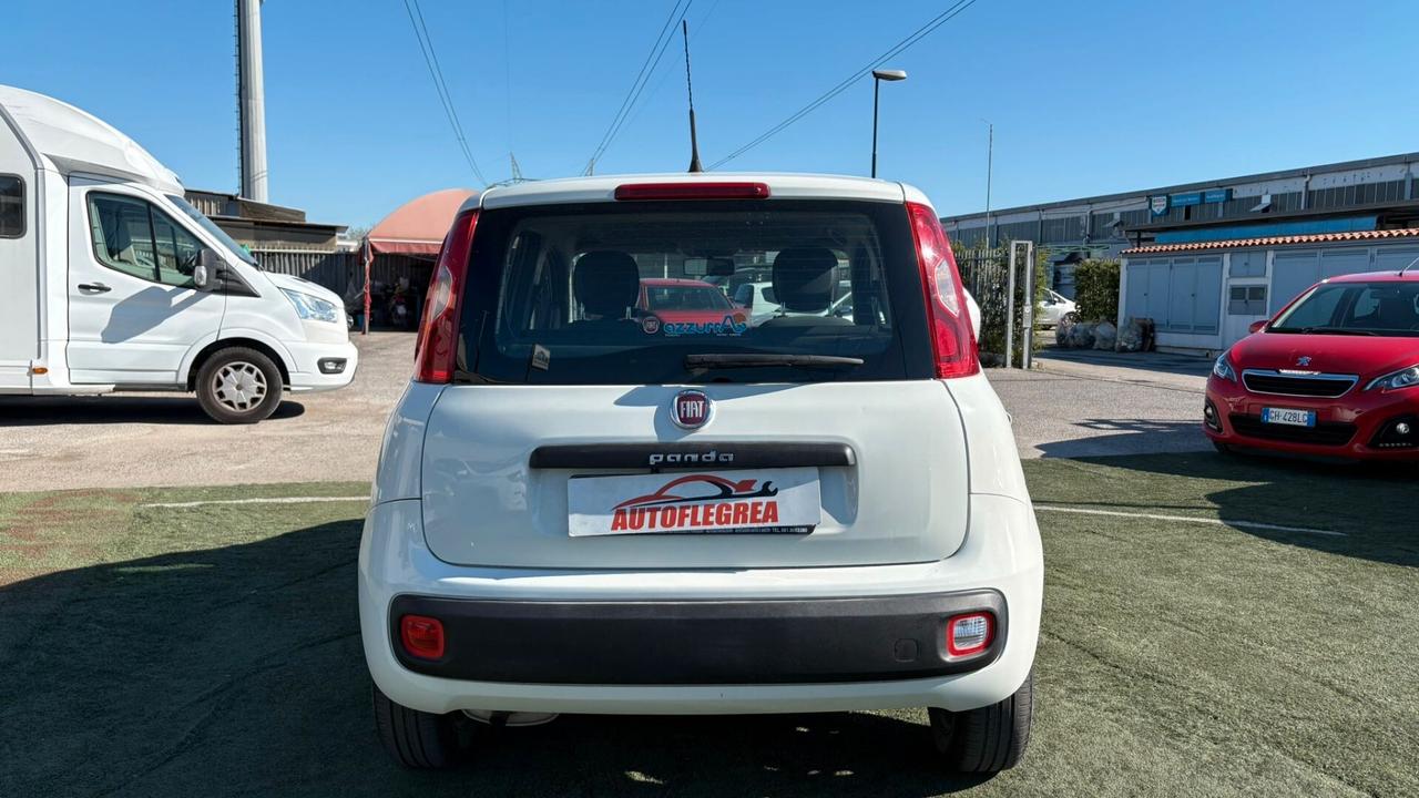 Fiat Panda 1.2 312PXA1A | BENZINA| 169A4000 CC 1242 CV 69 KW 51 BERLINA, 5 P.