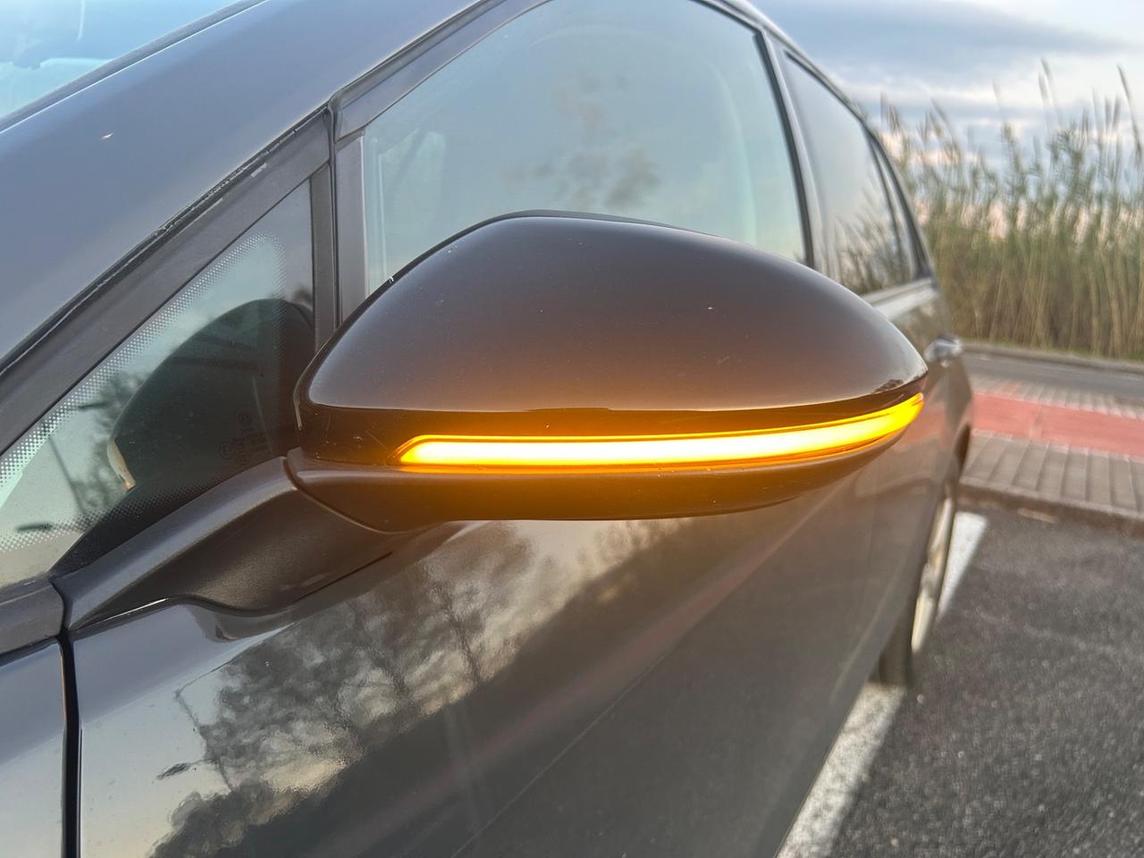 Volkswagen Golf serie 7 - 1.4 TGI 5p. Executive BlueMotion