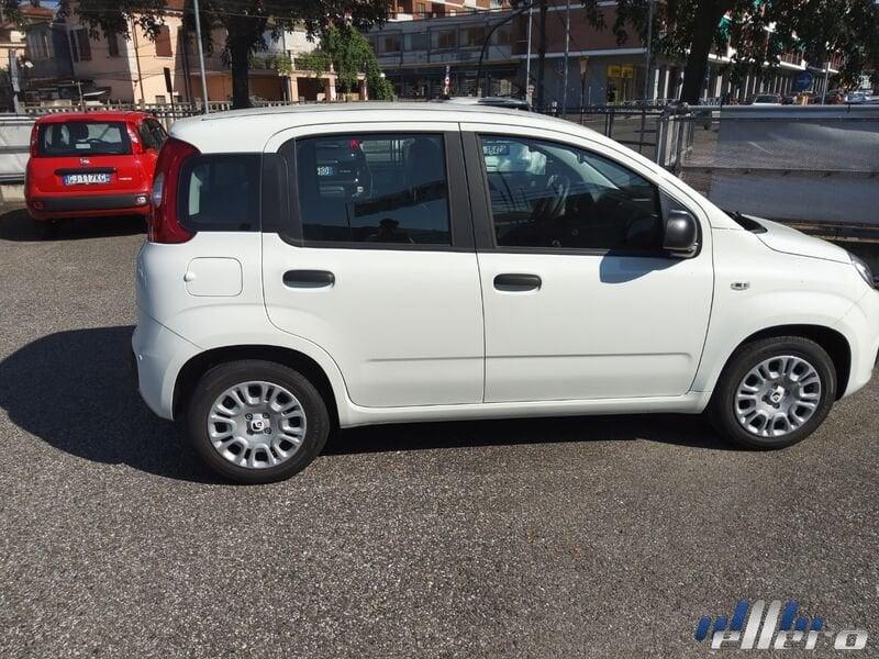 FIAT Panda MY25 1.0 70cv Hybrid