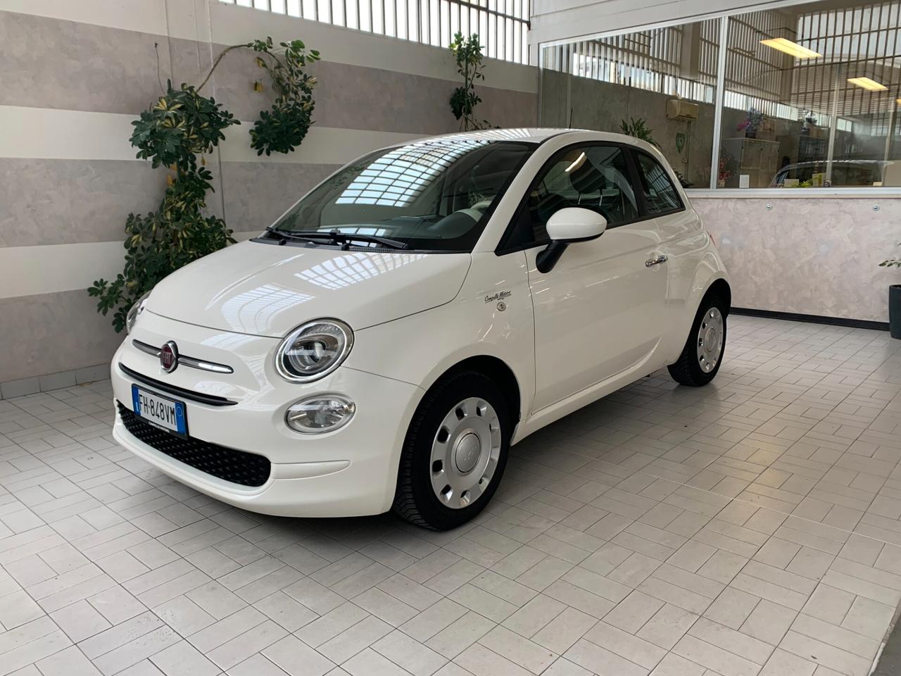 Fiat 500 1.2 BENZINA POP