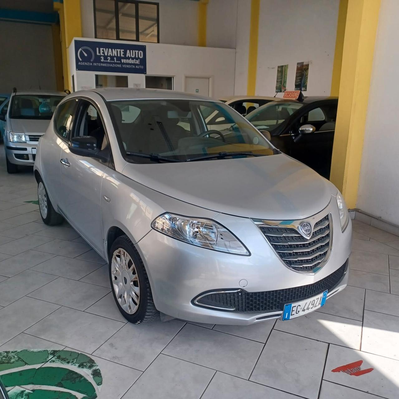 DISTRIBUZIONE FATTA NEOPATENTATI YPSILON 1.2
