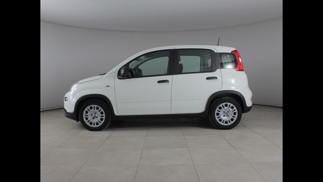 FIAT Pandina III 2024 - Pandina 1.0 firefly hybrid s&s 70cv