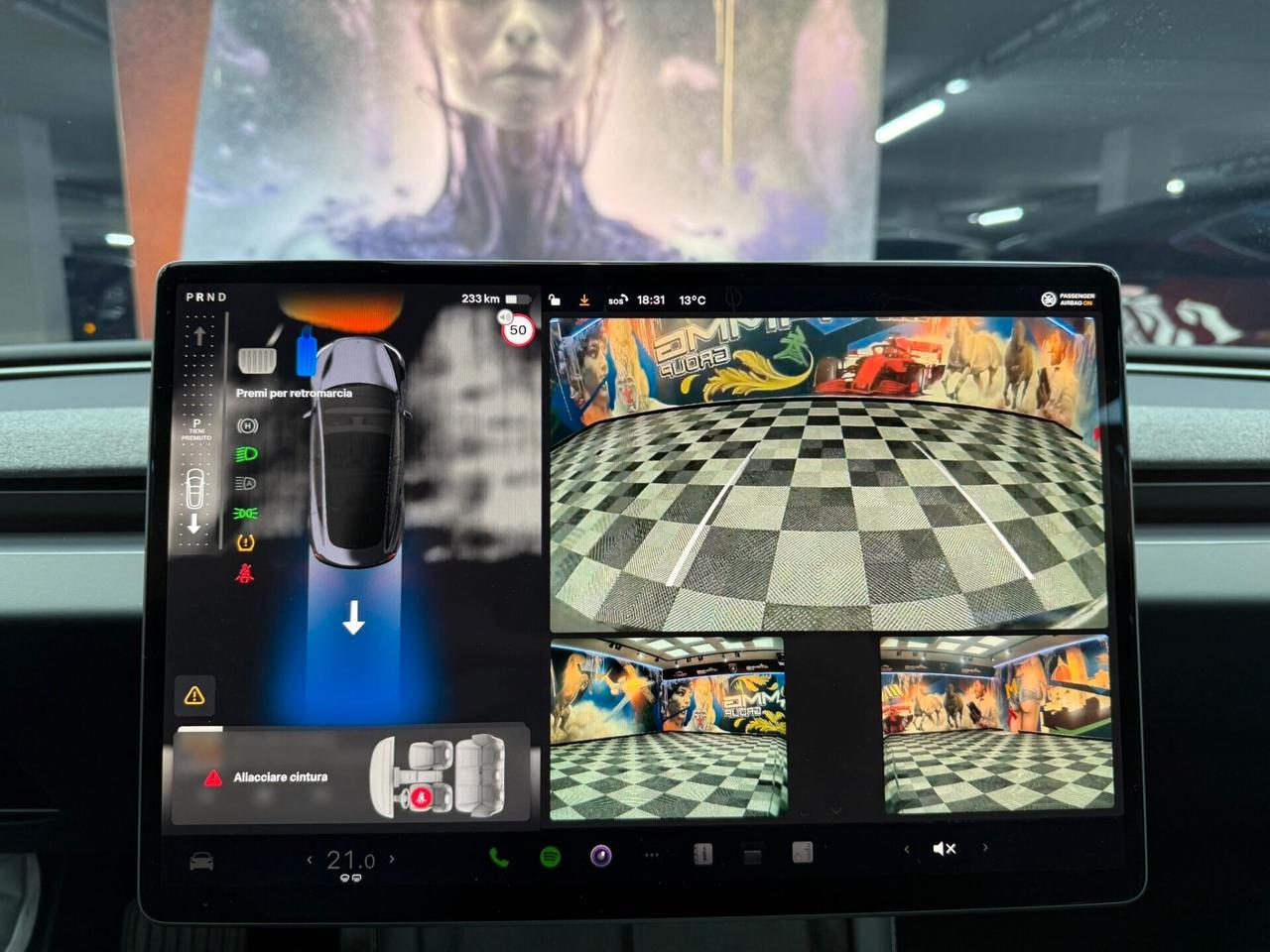 Tesla Model 3 NV35 Long Range AWD (418)