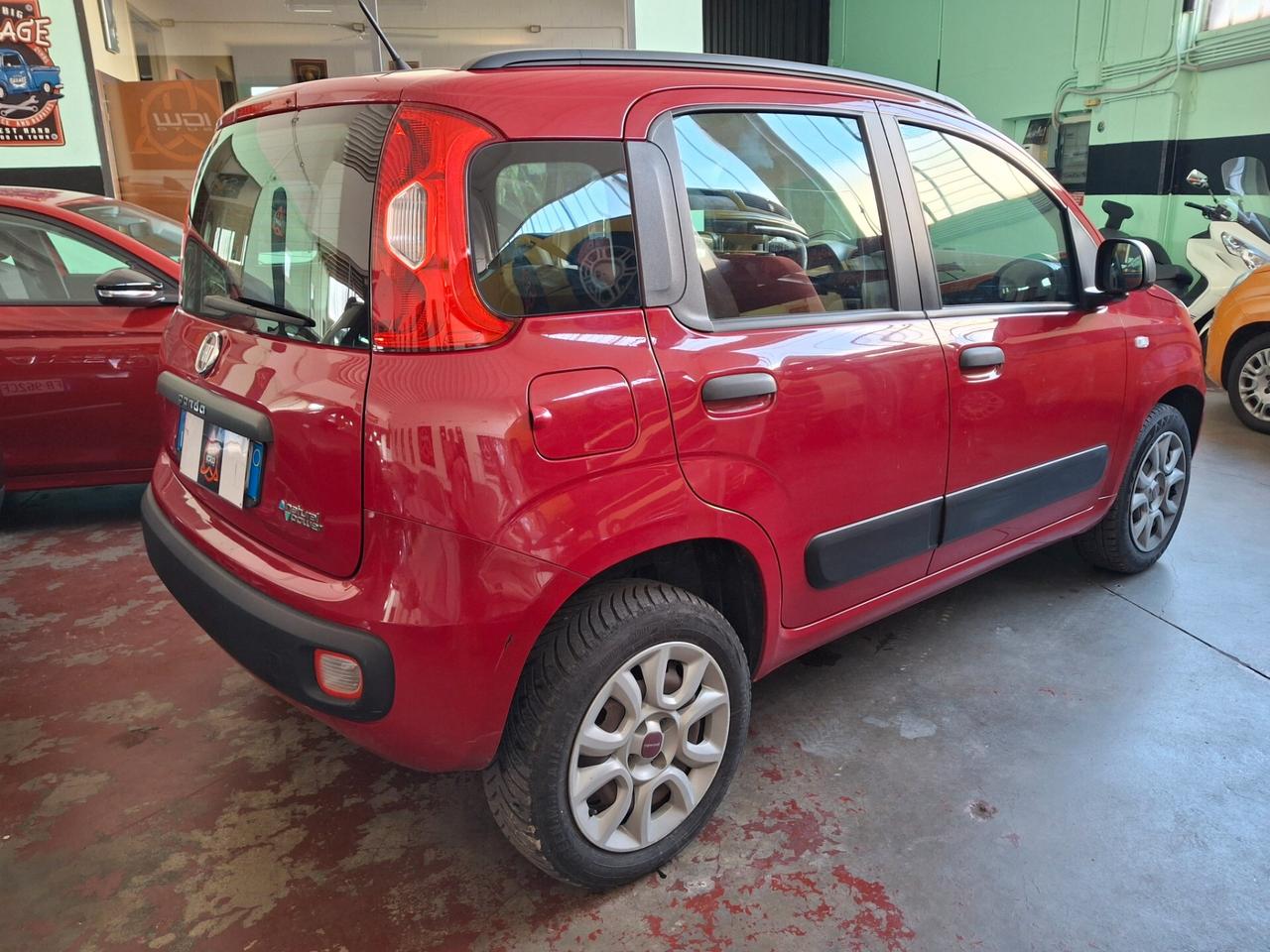 Panda PROMO SET. PASSAGGIO INCLUSO NEL PREZZO!!!