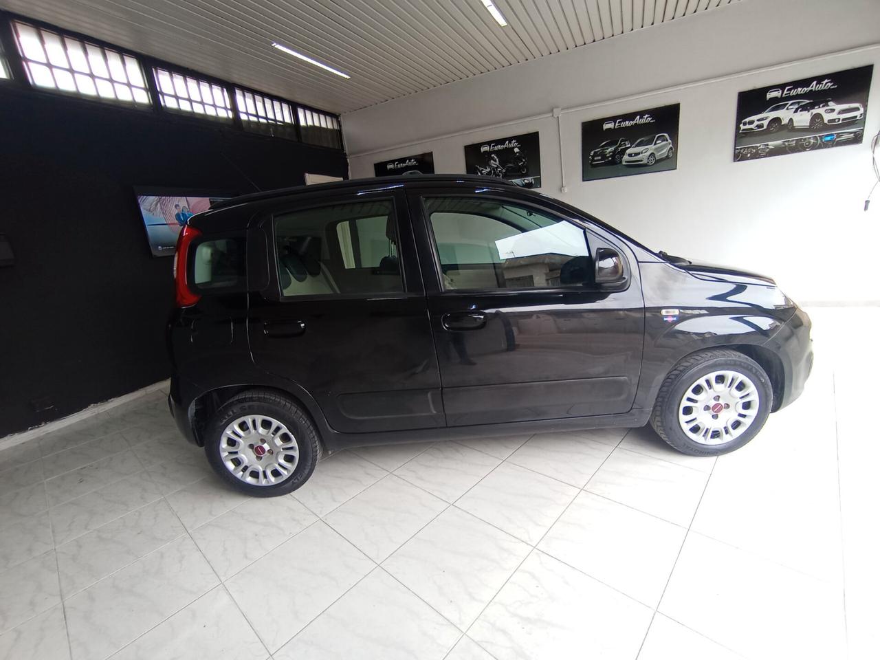 Fiat Panda 1.2 benzina 2012 CON GARANZIA