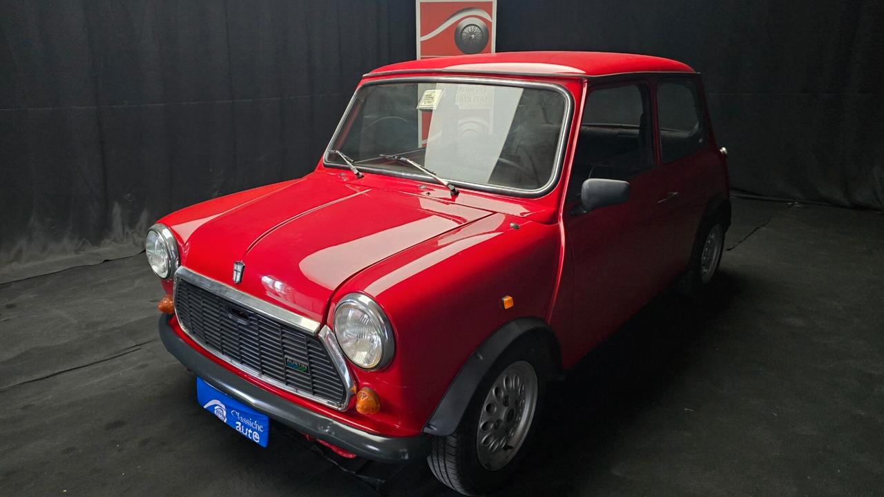 Mini 1000 HLE 1.0cc