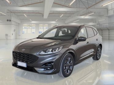 FORD KUGA 2.0 EcoBlue 120CV 2WD ST-Line Business Auto