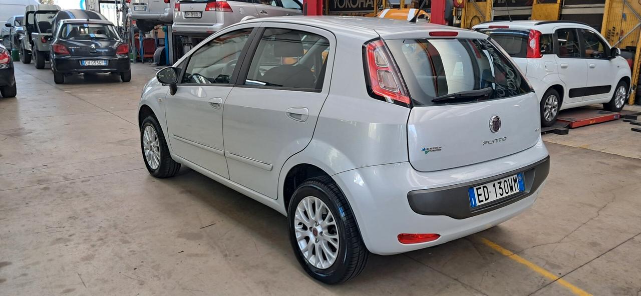Fiat Punto Evo 1.4 5 porte Dynamic Natural Power