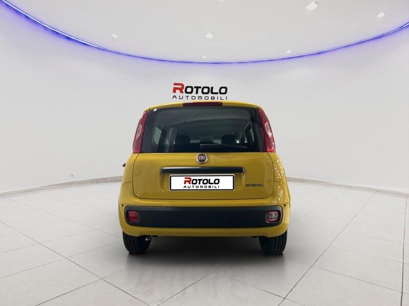 FIAT Panda 3ª serie Panda 1.0 FireFly S&S Hybr...