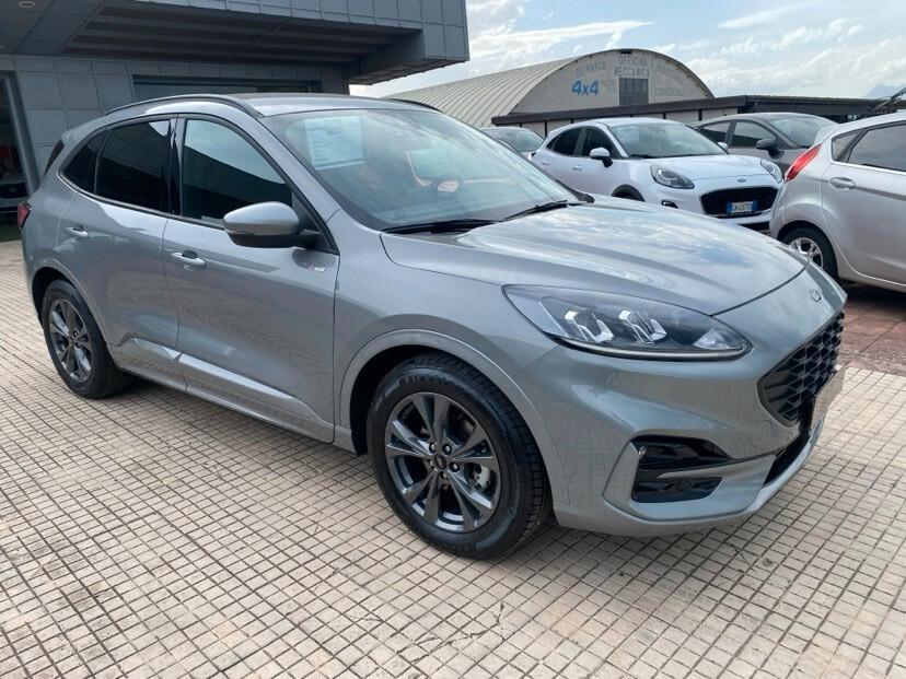 Ford Kuga 2.0 EcoBlue 120 CV aut. 2WD ST-Line