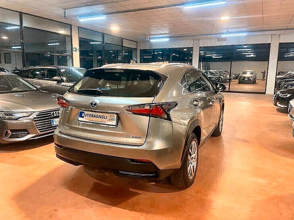 Lexus NX 300h h EXECUTIVE Hybrid 4WD PELLE