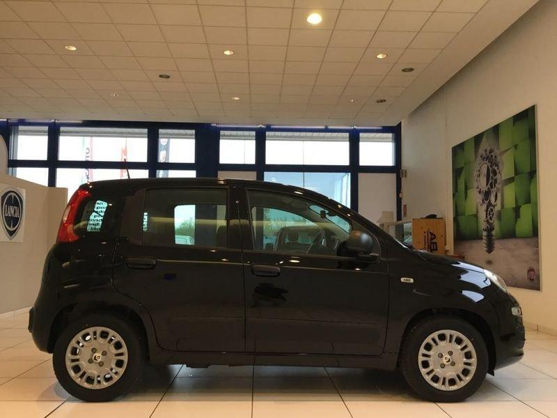 FIAT Panda Panda 1.0 FireFly S&S Hybrid Pop 65cv