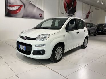 FIAT Panda Panda 1.2 Easy Van 4 posti €5000+iva