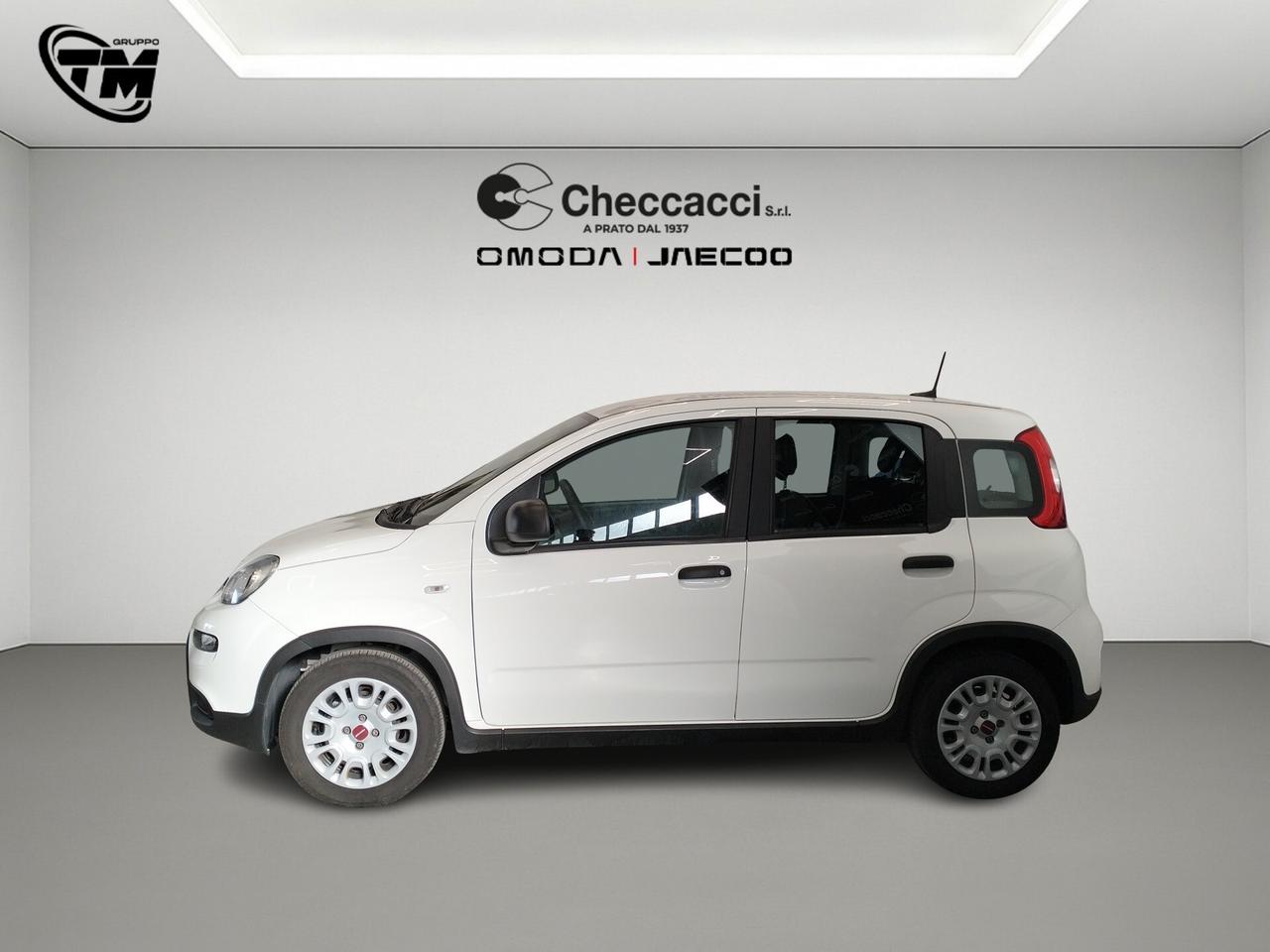Fiat Panda 3ª serie - 1.0 FireFly S&S Hybrid