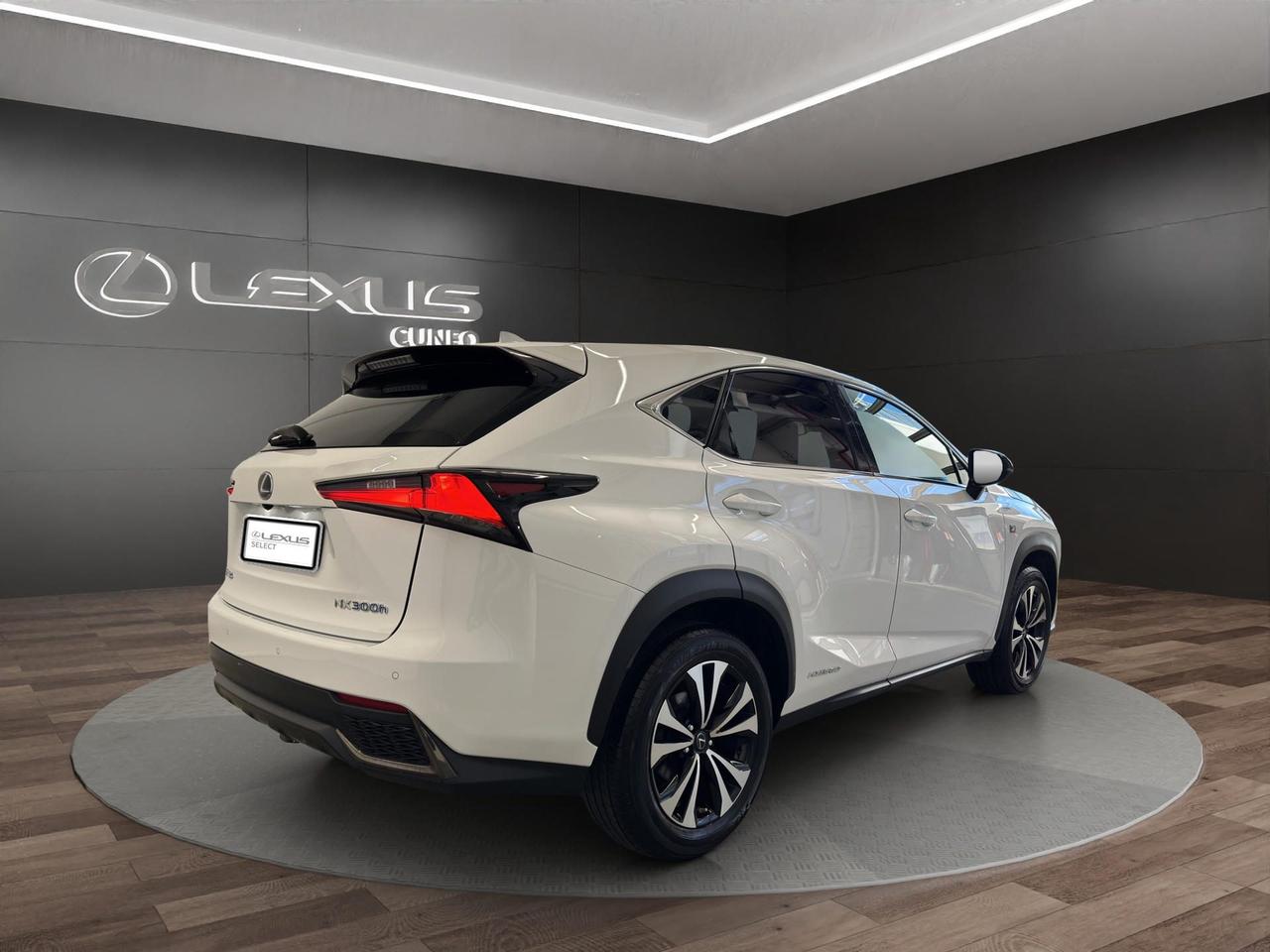 Lexus NX 300h 2.5 F Sport 4wd cvt