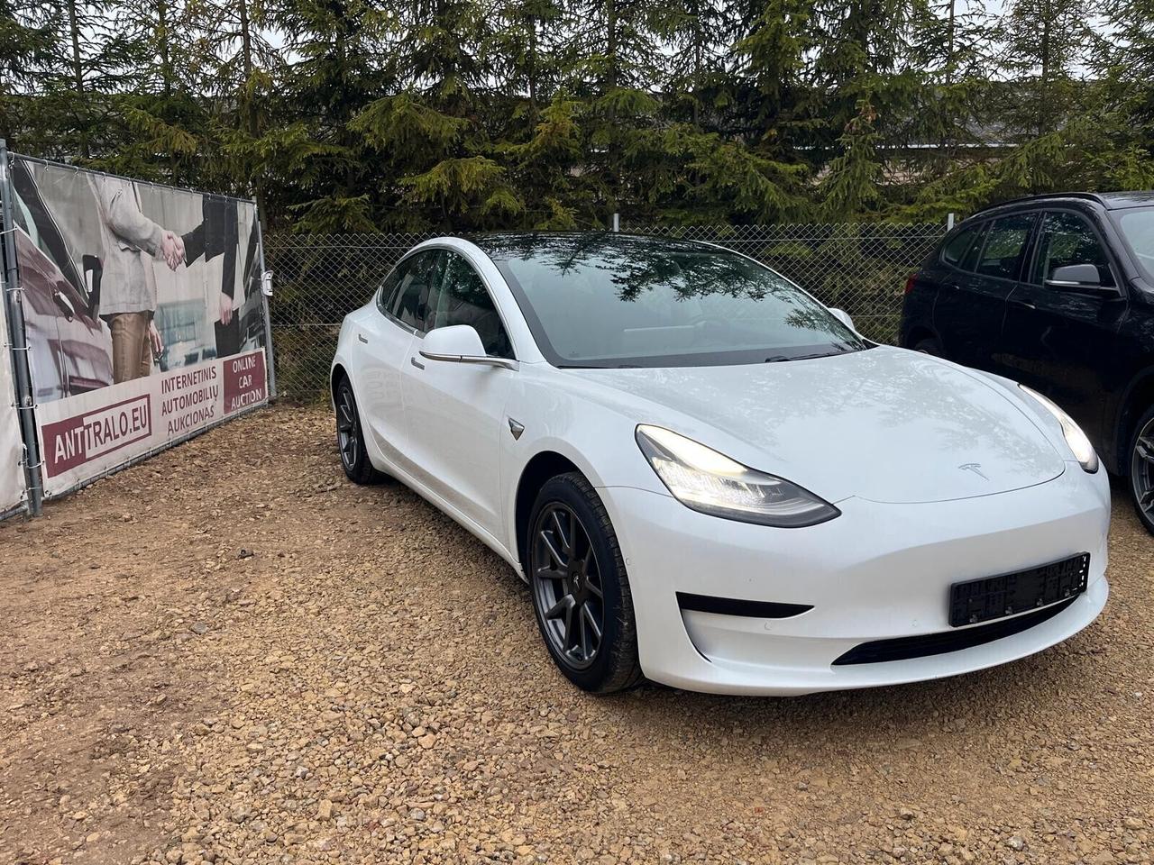 Tesla Model 3 Standard RWD Plus