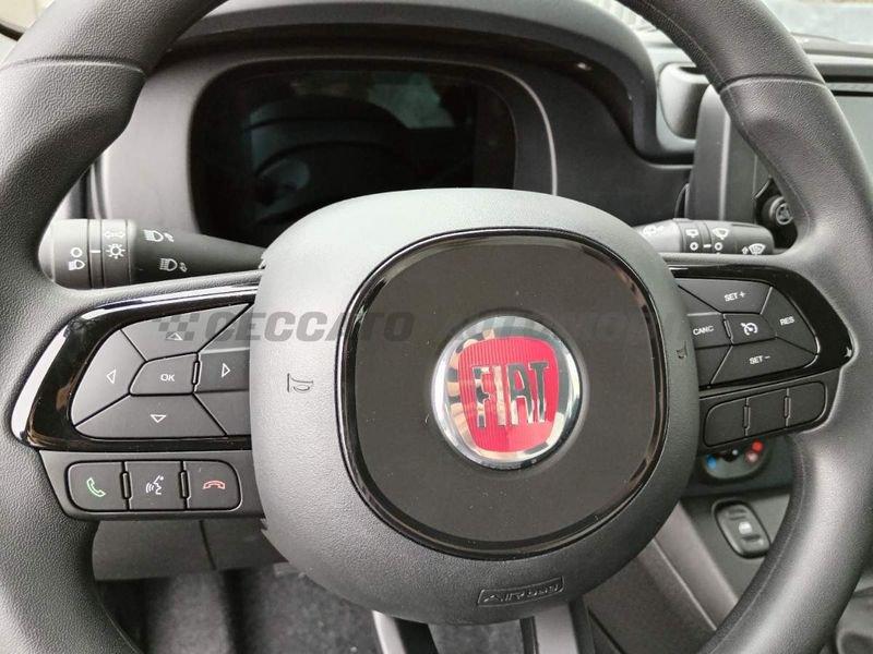 FIAT Panda Panda 1.0 firefly hybrid s&s 70cv