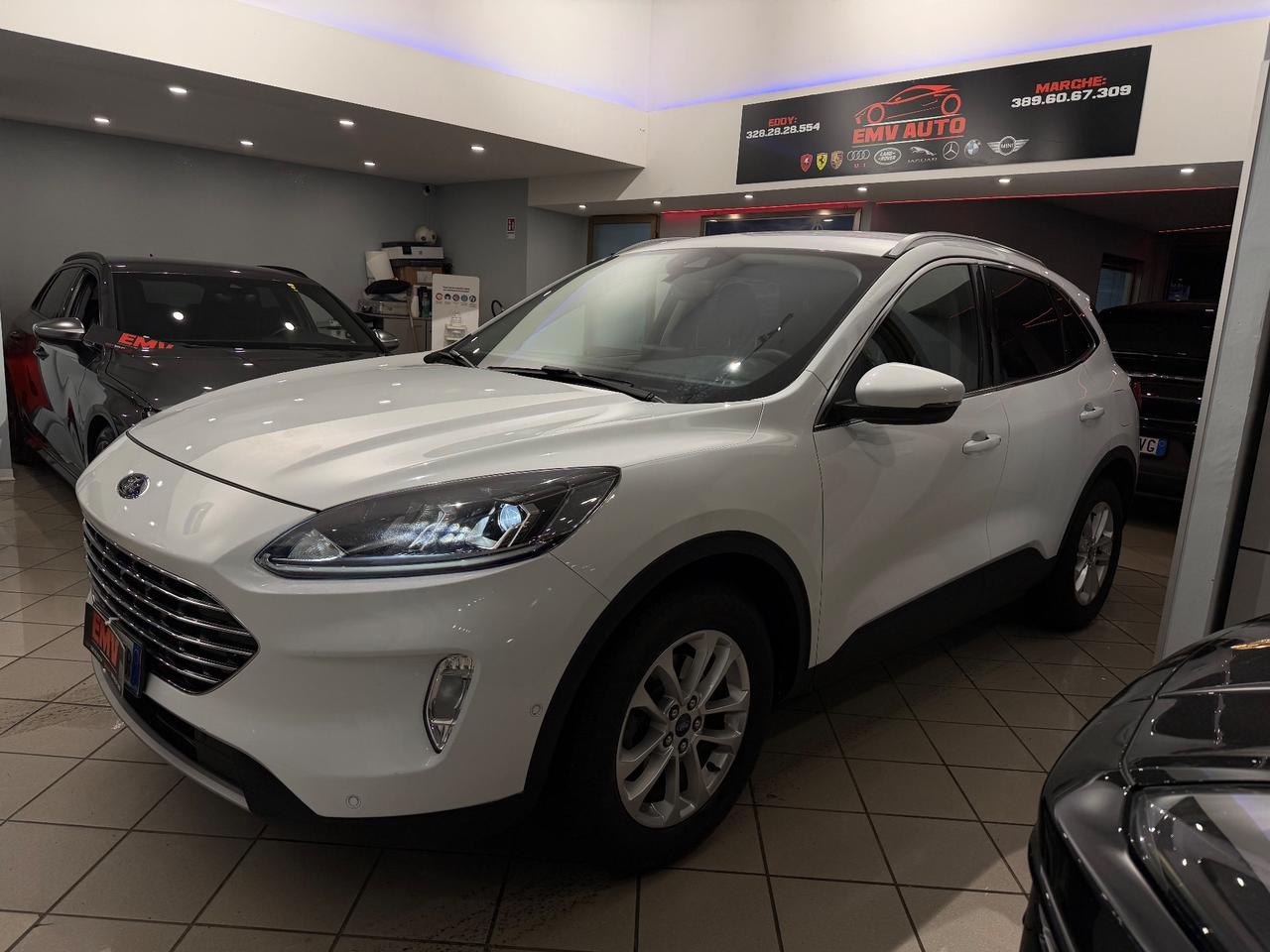 Kuga 1.5 EcoBlue 120 CV aut. 2WD Titanium