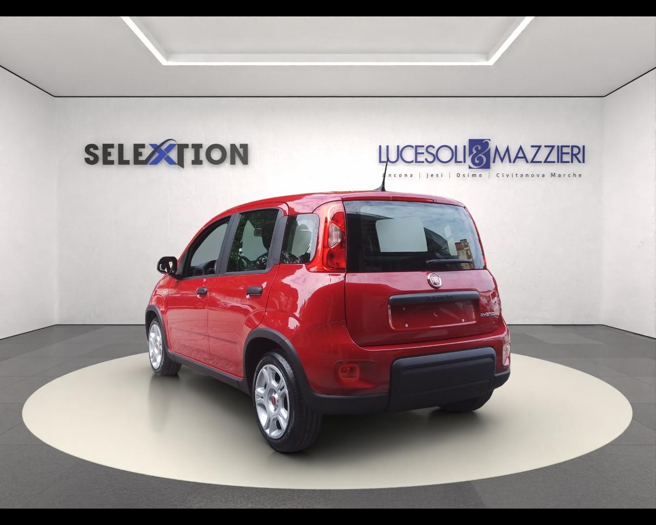 FIAT Panda 3ª serie - Panda 1.0 FireFly S&S Hybrid