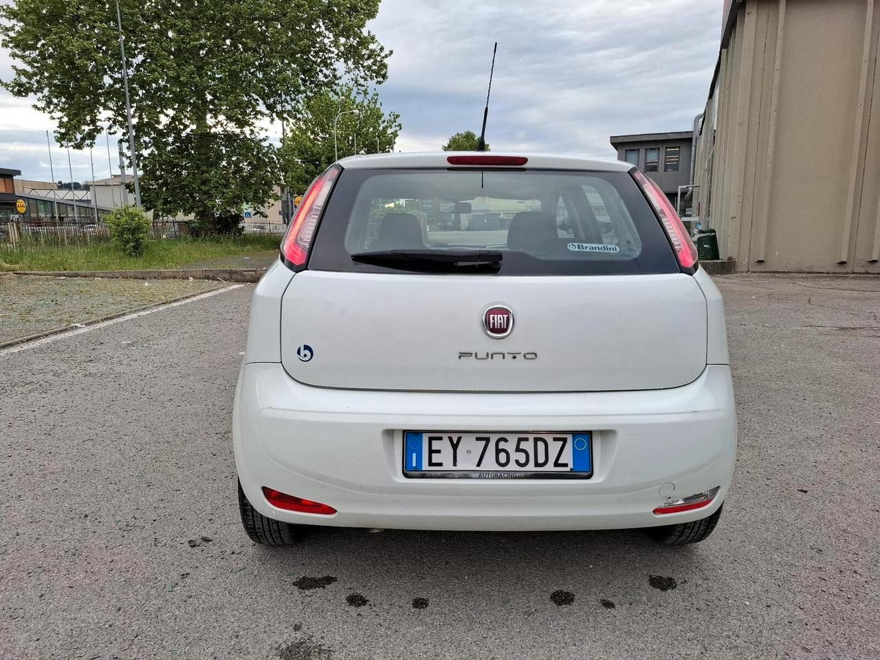 Fiat Punto 1.4 8V 5 porte Easypower Lounge