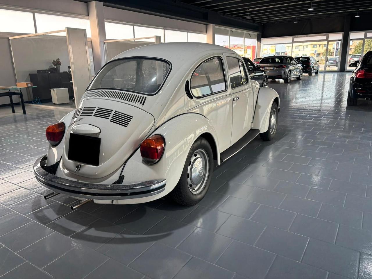Volkswagen Maggiolino
