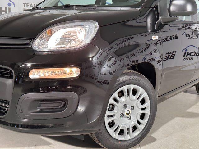 FIAT New Panda 1.0 FireFly 70CV Hybrid 5P. MY25