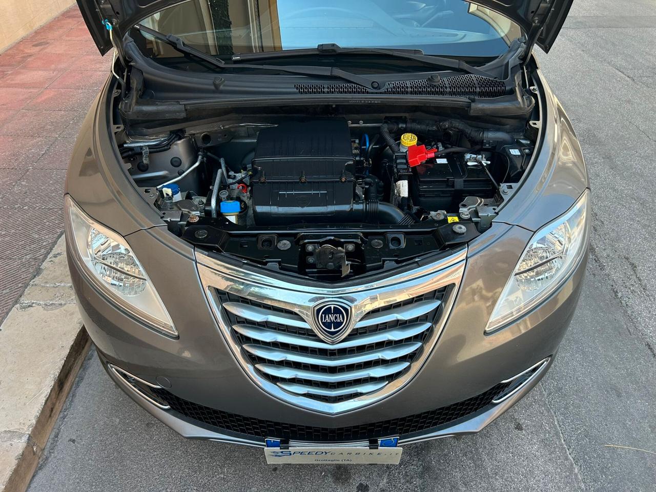 Lancia Ypsilon 1.2 69 CV 5 p. 'Platinum' 2014