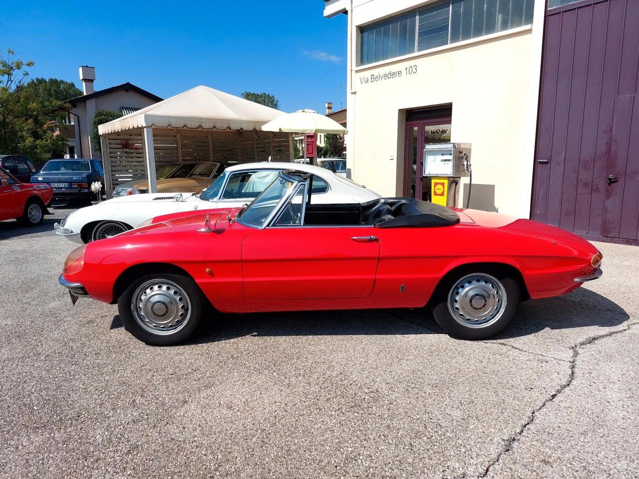 Alfa Romeo Spider Duetto 1600 Osso di Seppia del 1966