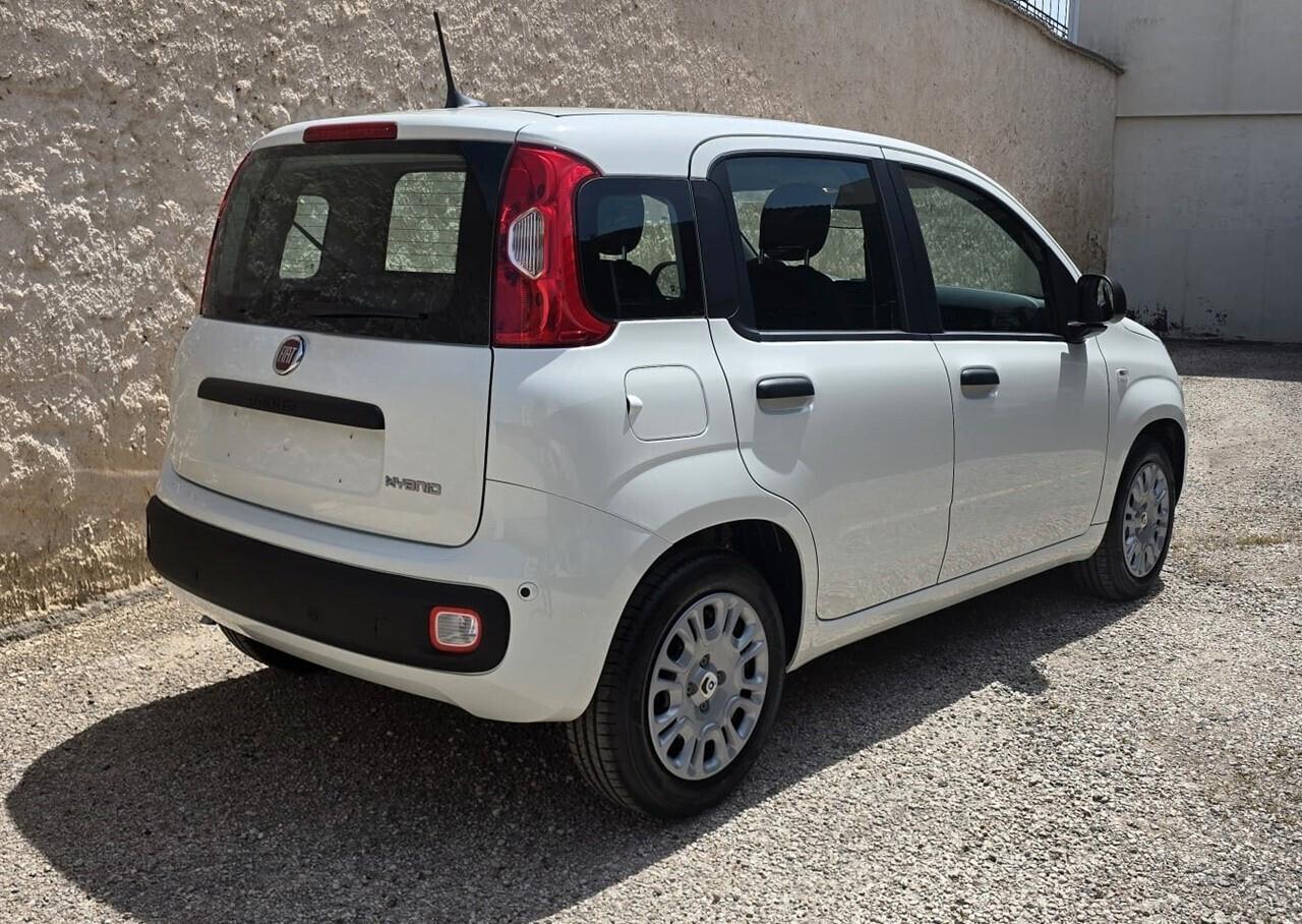 Fiat Panda 1.0 70CV S&S Hybrid - Nuova KM ZERO