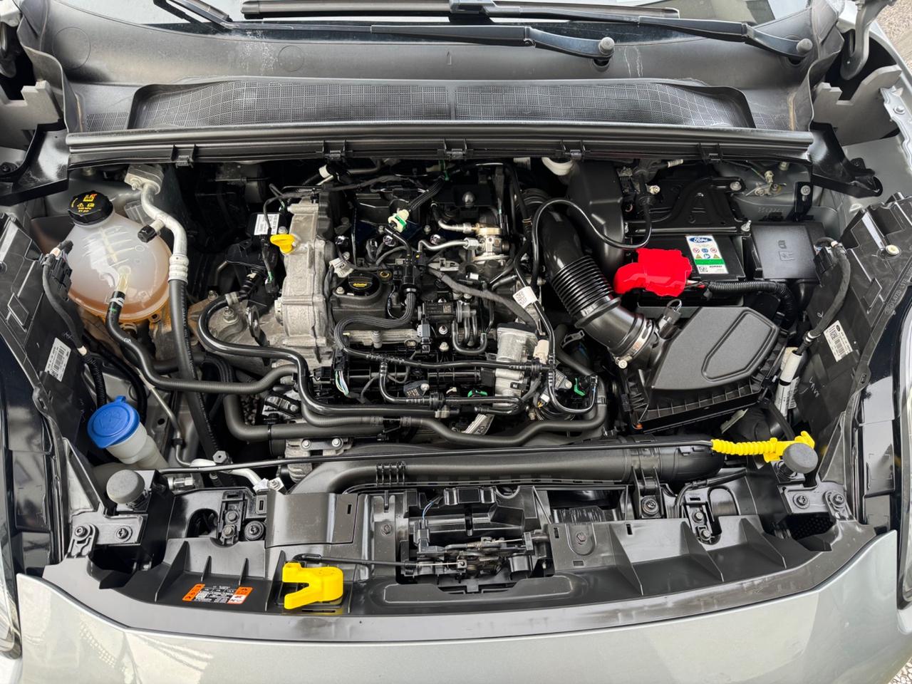 Ford Puma ST-Line Ibrida Distribuzione a catena! No vincoli!