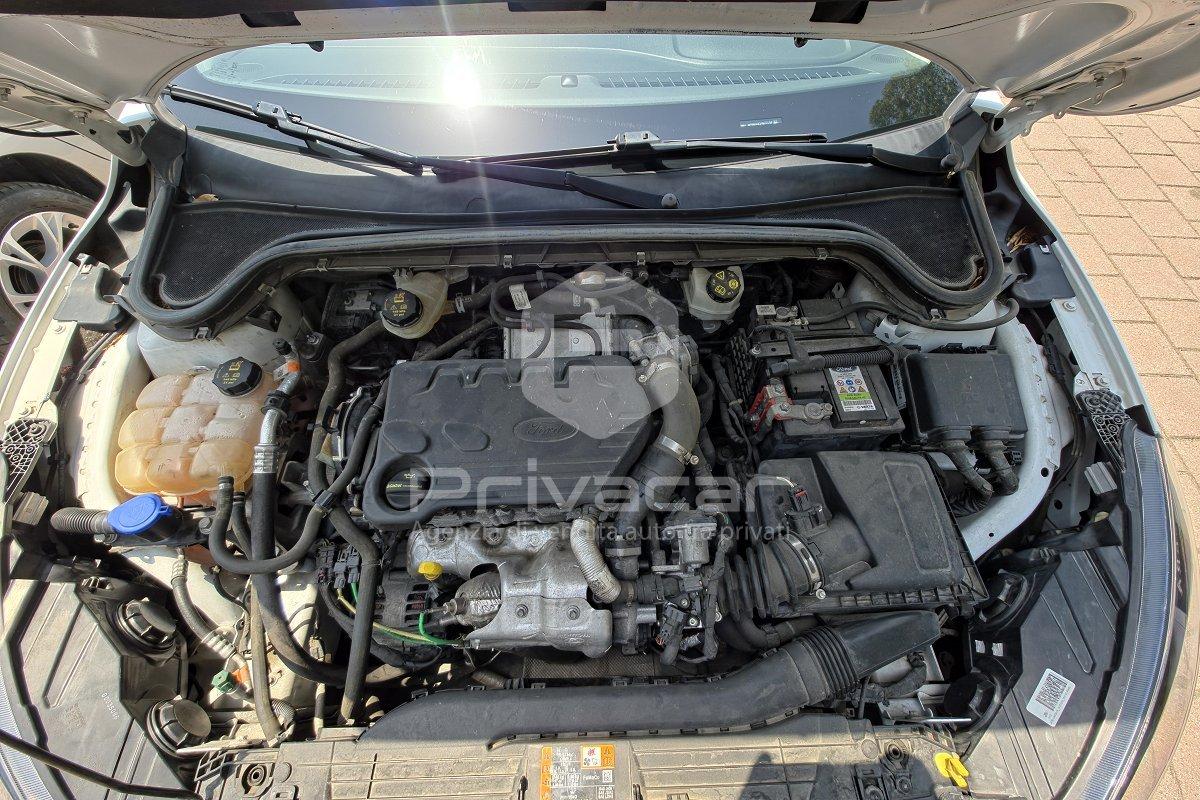 FORD Focus 1.5 EcoBlue 120 CV 5p. Business