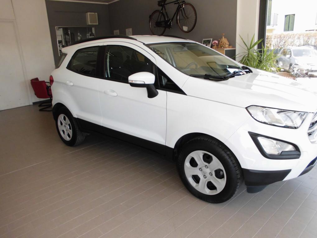 Ford EcoSport 1.0 EcoBoost 100 CV Business