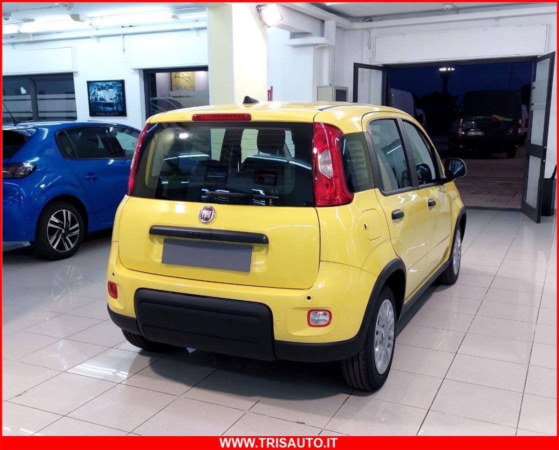 FIAT Panda 1.0 FireFly S&S Hybrid MY24 KM ZERO!!! IVATA NEOPATENTATI