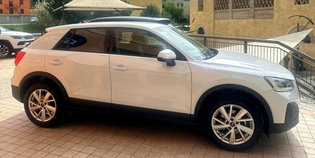 AUDIQ230TFSIBusiness