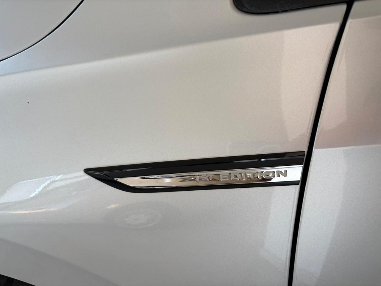 VOLKSWAGEN GOLF 8 2.0 TDI SCR STYLE "UNICA"