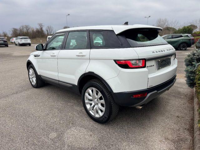 LAND ROVER Range Rover Evoque 2.0 TD4 150 CV 5P BUSINESS *TAGLIANDATO*