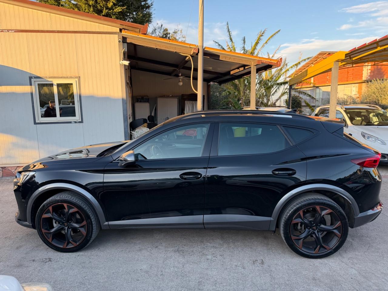 Cupra Formentor 2.0 TDI 4Drive DSG Km Certificati