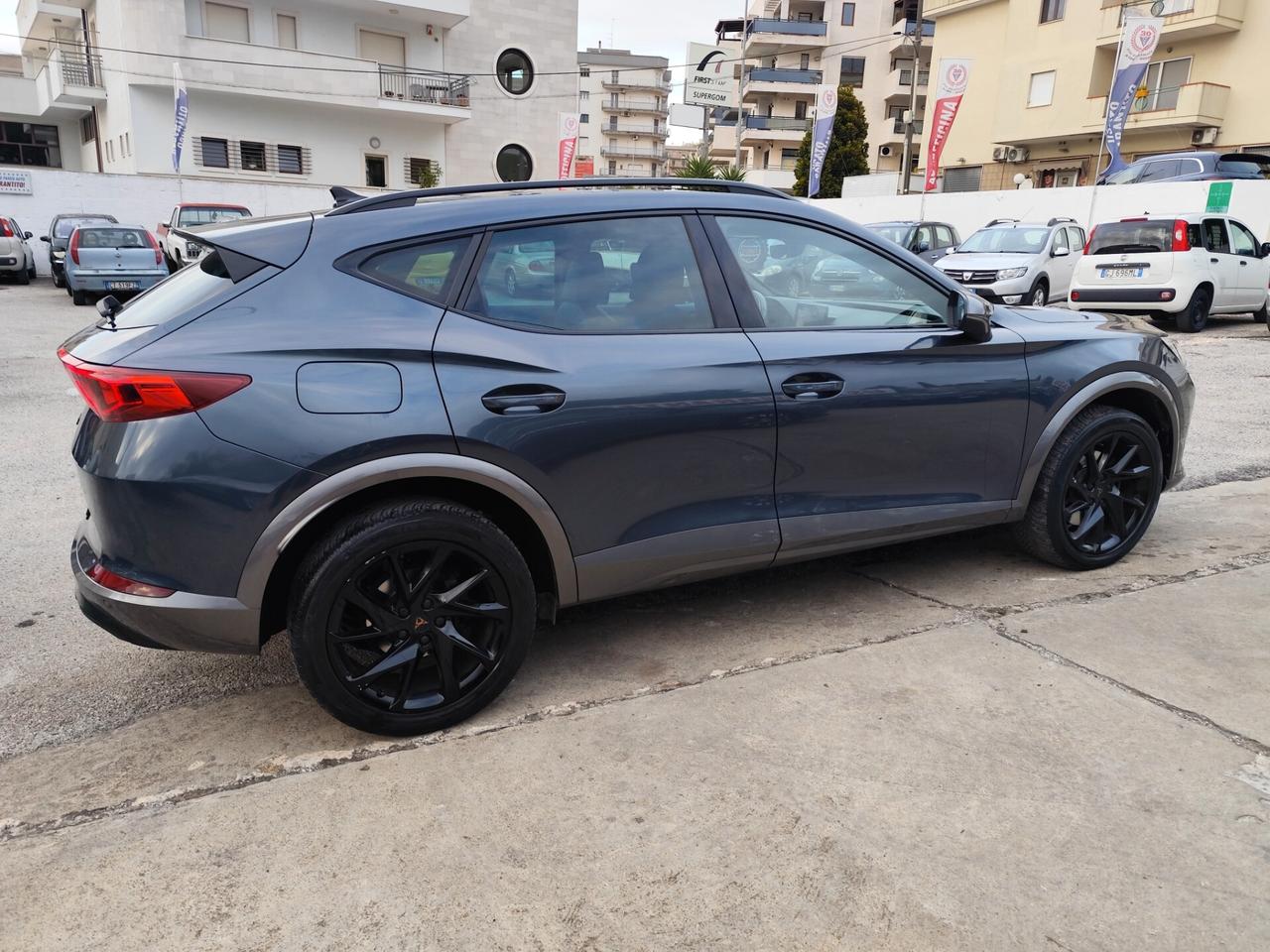 Cupra Formentor 2.0 TDI 4Drive DSG
