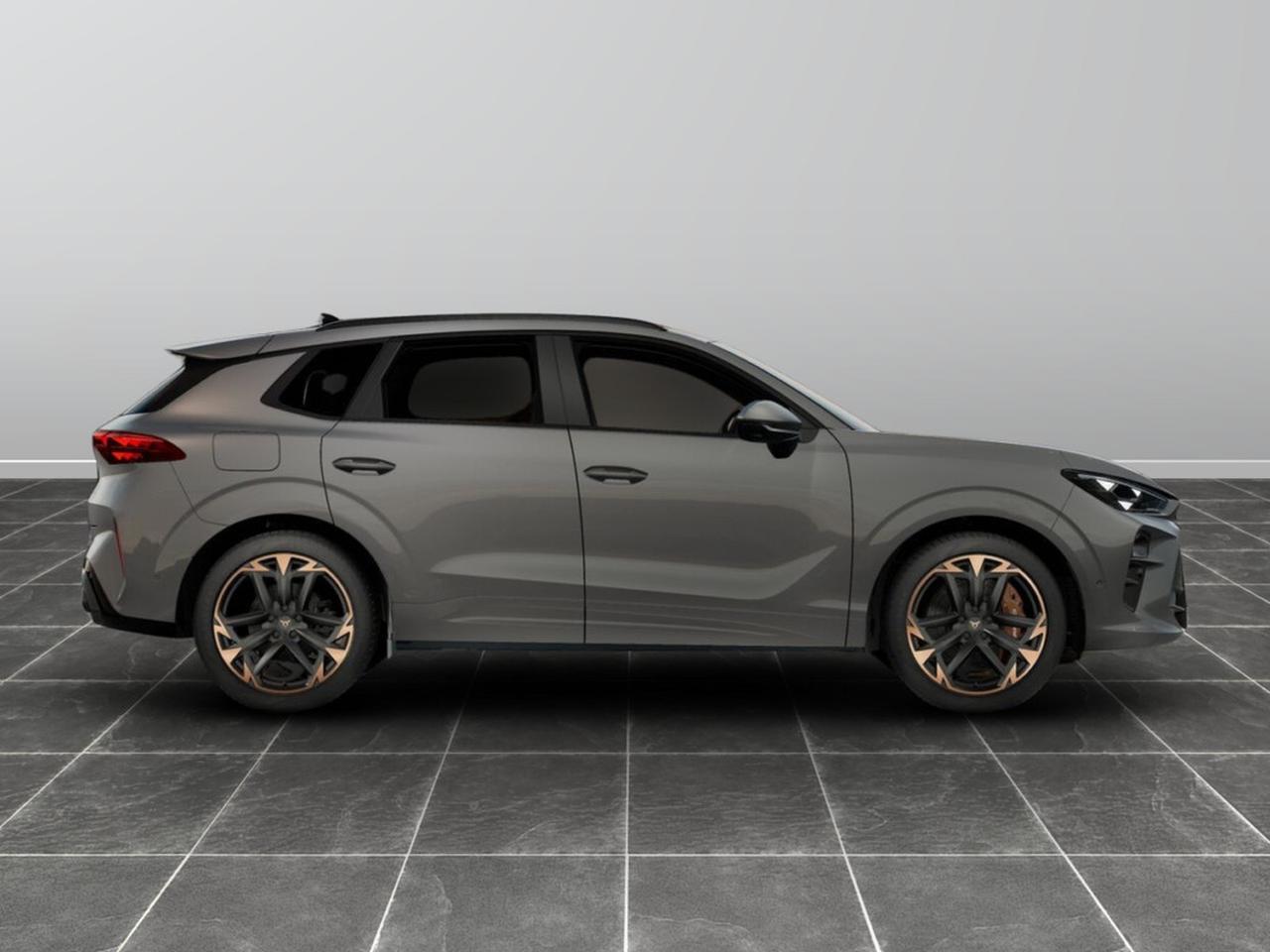 Cupra Terramar 2.0 tsi 265cv vz 4drive dsg