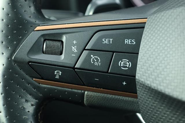 CUPRA Formentor 2.0 TDI 4Drive SEDILI SPORTIVI DSG AWD 4x4