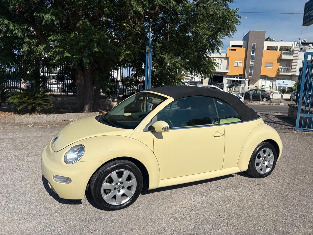 Volkswagen New Beetle 1.9 TDI 101CV Cabrio