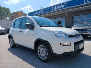 FIAT PANDA 1.0 BENZINA HYBRID 70CV 2023
