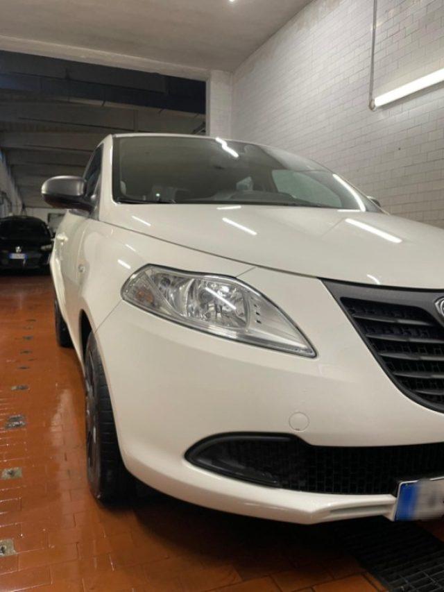 LANCIA Ypsilon 1.2 69 CV 5 porte Elefantino