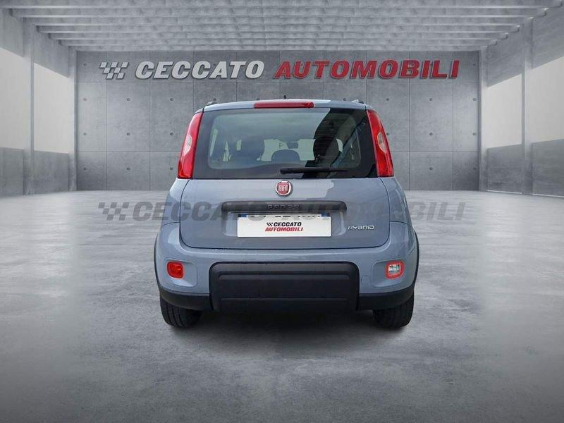 FIAT Panda Panda 1.0 firefly hybrid City Life s&s 70cv 5p.ti