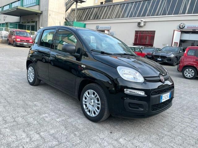 Fiat Panda 1.0 FireFly S&S Hybrid Pandina Tech Km 13.000 PREZZO VERO!!!!