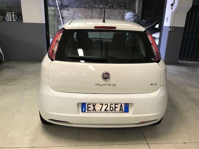 Fiat Punto Punto 1.2 BENZINA / FRIZIONE NUOVA