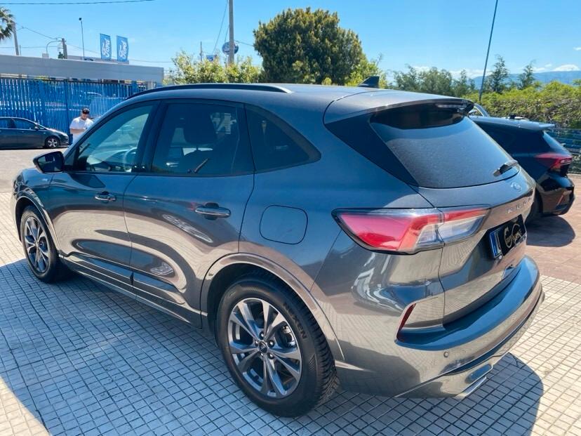 Ford Kuga 1.5 EcoBlue 120 CV aut. 2WD ST-Line X