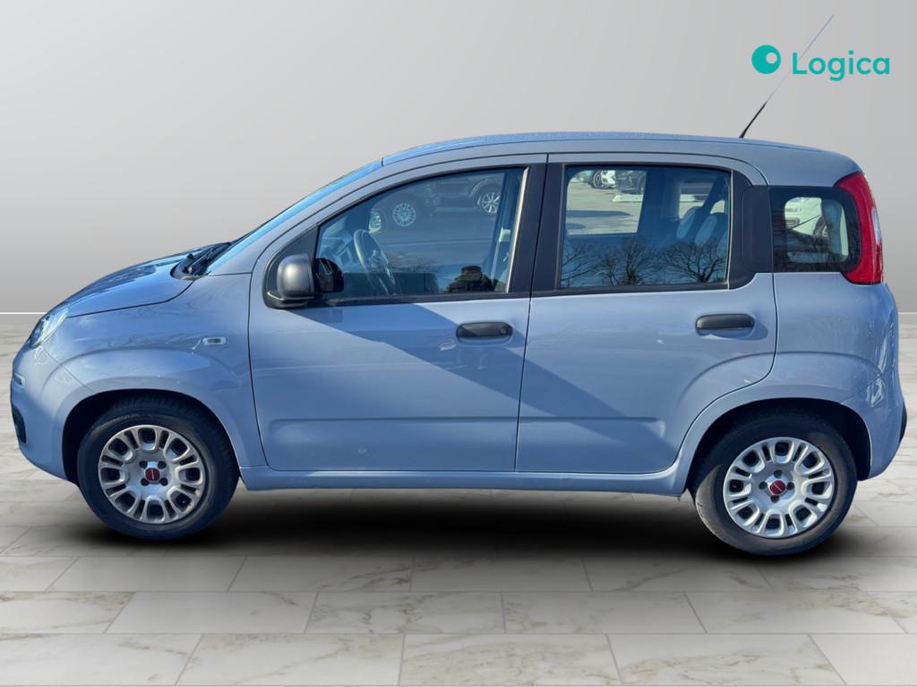 FIAT Panda III 2021 - Panda 1.0 firefly hybrid s&s 70cv 5p.ti