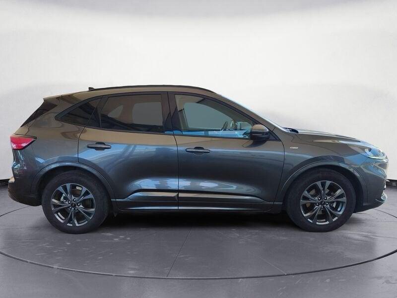 Ford Kuga 1.5 EcoBlue 120CV 2WD ST-Line